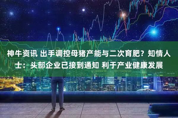 神牛资讯 出手调控母猪产能与二次育肥？知情人士：头部企业已接到通知 利于产业健康发展