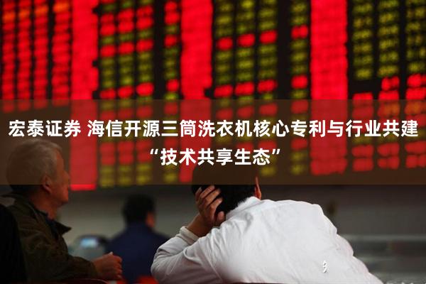 宏泰证券 海信开源三筒洗衣机核心专利与行业共建“技术共享生态”
