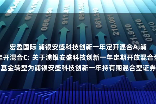 宏盈国际 浦银安盛科技创新一年定开混合A,浦银安盛科技创新一年定开混合C: 关于浦银安盛科技创新一年定期开放混合型证券投资基金转型为浦银安盛科技创新一年持有期混合型证券投资基金暨基金合同生效的提示性公告