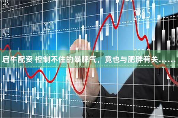 启牛配资 控制不住的暴脾气，竟也与肥胖有关……