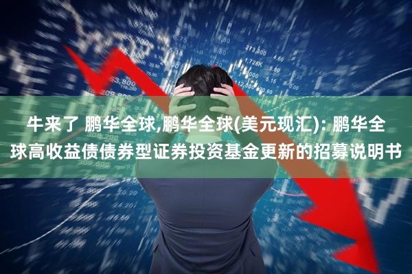 牛来了 鹏华全球,鹏华全球(美元现汇): 鹏华全球高收益债债券型证券投资基金更新的招募说明书
