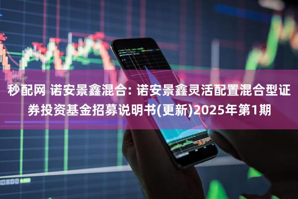 秒配网 诺安景鑫混合: 诺安景鑫灵活配置混合型证券投资基金招募说明书(更新)2025年第1期