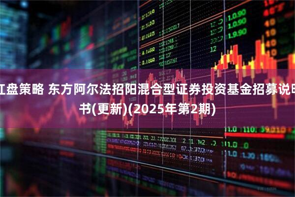 红盘策略 东方阿尔法招阳混合型证券投资基金招募说明书(更新)(2025年第2期)