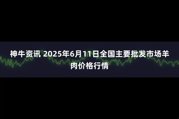 神牛资讯 2025年6月11日全国主要批发市场羊肉价格行情