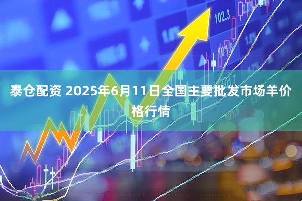 泰仓配资 2025年6月11日全国主要批发市场羊价格行情