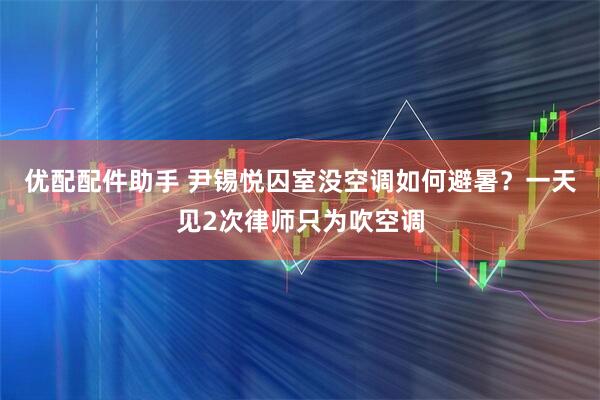 优配配件助手 尹锡悦囚室没空调如何避暑？一天见2次律师只为吹空调