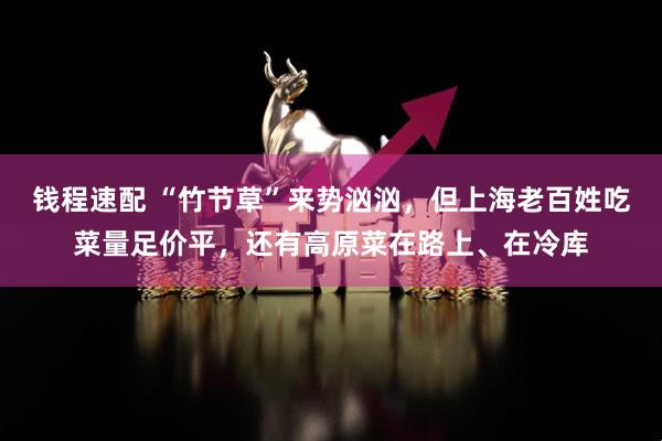 钱程速配 “竹节草”来势汹汹，但上海老百姓吃菜量足价平，还有高原菜在路上、在冷库