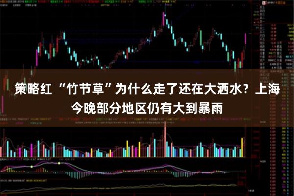 策略红 “竹节草”为什么走了还在大洒水？上海今晚部分地区仍有大到暴雨