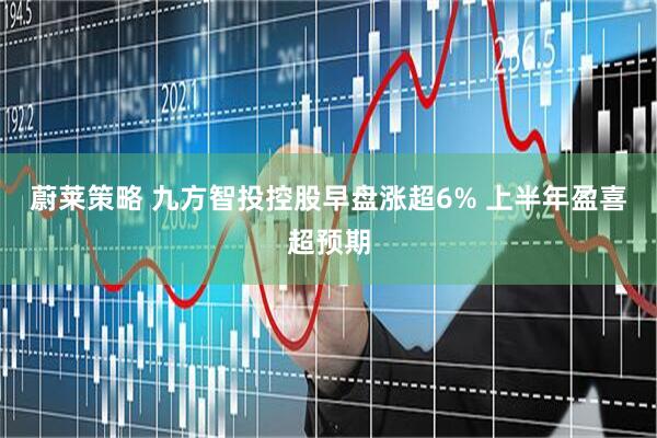 蔚莱策略 九方智投控股早盘涨超6% 上半年盈喜超预期