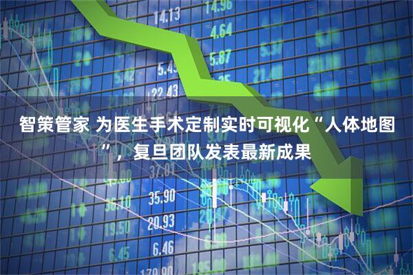 智策管家 为医生手术定制实时可视化“人体地图”，复旦团队发表最新成果