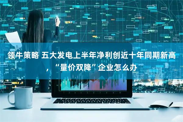 领牛策略 五大发电上半年净利创近十年同期新高，“量价双降”企业怎么办