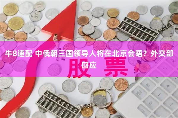 牛8速配 中俄朝三国领导人将在北京会晤？外交部回应