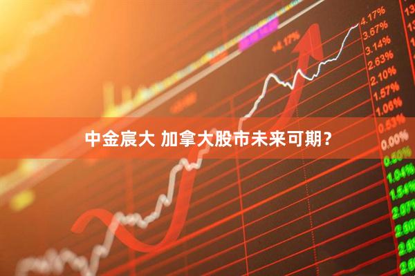 中金宸大 加拿大股市未来可期？