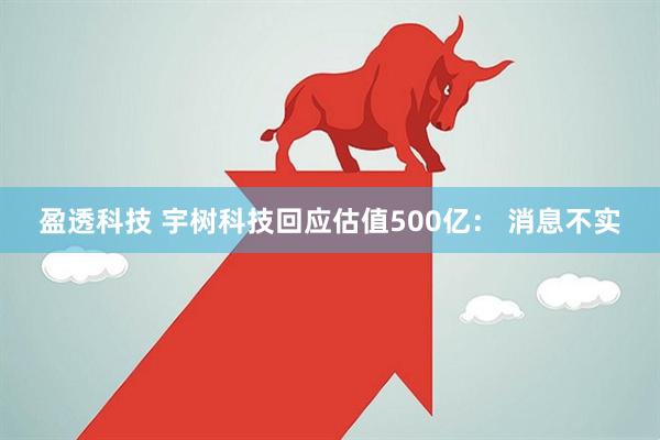盈透科技 宇树科技回应估值500亿： 消息不实
